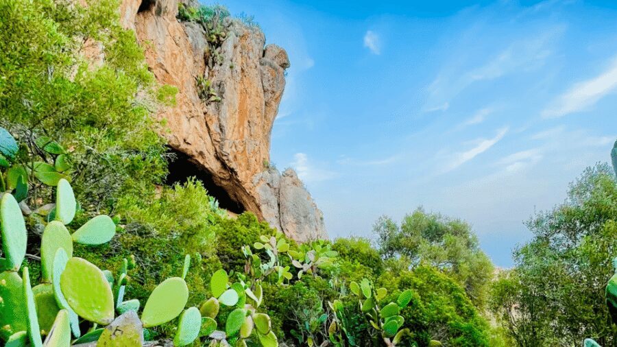 Cala Millor: "Cavemen", cave on a mountain,fun game and hike - Price and value for Cala Millor cave adventure