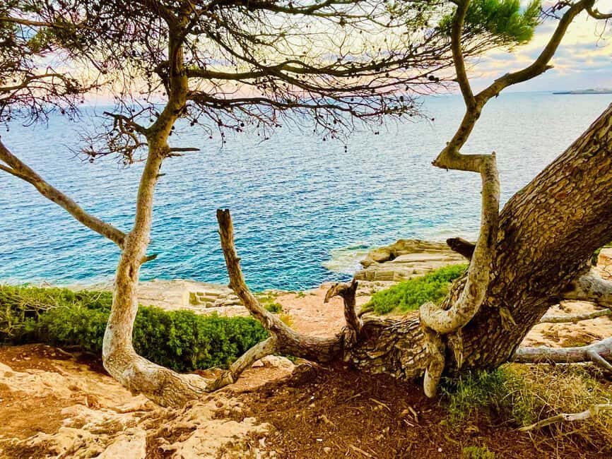 Cala Millor: real treasure hunt in natural reserve, fun walk - A Pirate Treasure Hunt in Punta de n’Amer Near Cala Millor