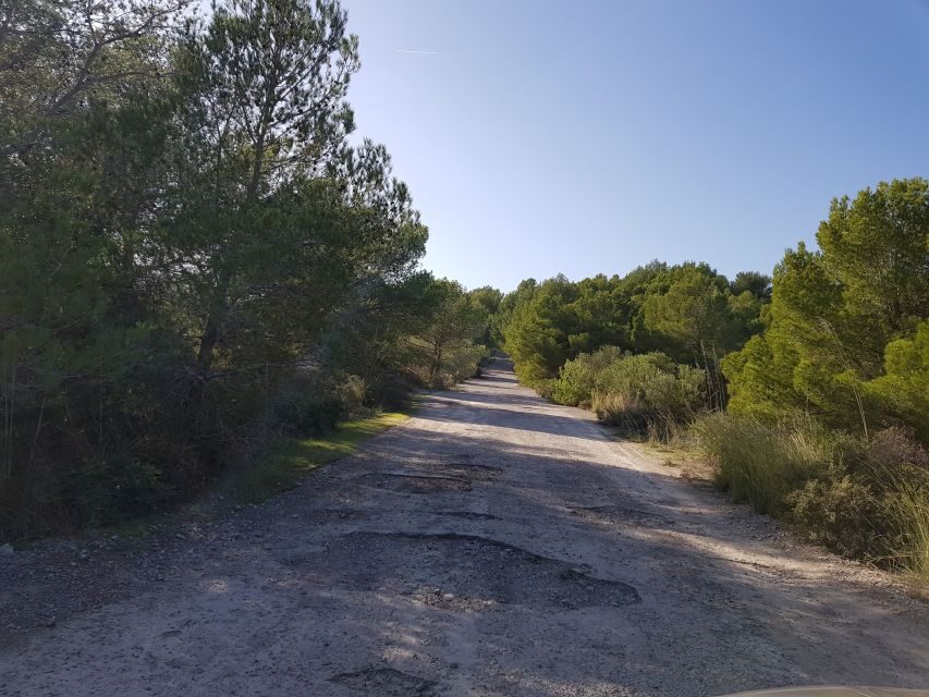 Cala Millor & Sa Coma: Jeep Touren – Natur entdecken - Guides make it: how the tour feels with English or German live direction