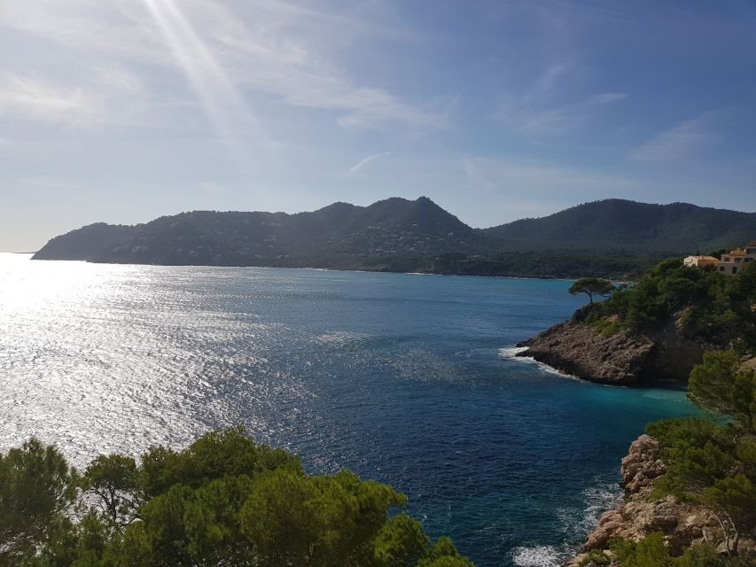 Cala Millor & Sa Coma: Jeep Touren – Natur entdecken - Price and value: what $186 per group really means