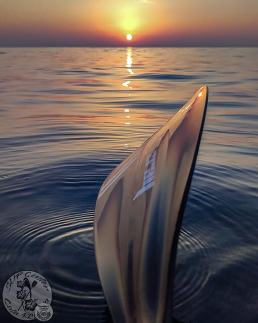 Cala Ratjada: Stand Up Paddle Sunrise Tour - The 90-minute flow: intro, coastline paddle, sunrise pause, dip, return