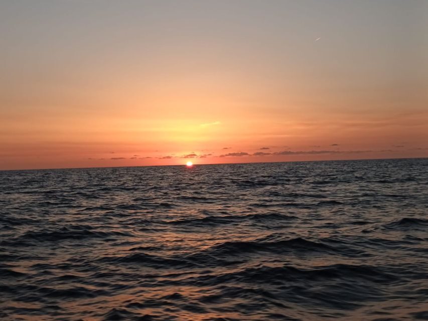 Can Picafort: Dolphin Watching Boat Tour with Swimming - Price and value: is $79 worth it for this 3-hour mix?