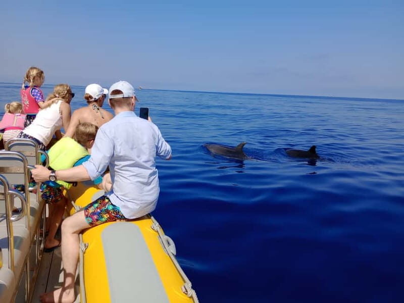 Can Picafort or Alcudia: Customizable Private Boat Day Trip - Key Things To Know Before You Go