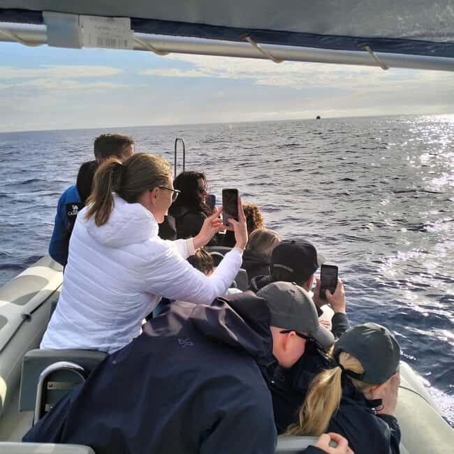 Can Picafort or Alcudia: Customizable Private Boat Day Trip - Private-group comfort for up to 12: spacious, but plan your expectations