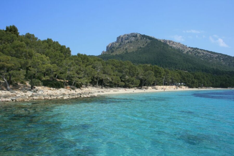 Cap de Formentor: Market, Beach, and Alcudia Tour - Port of Pollença free time: the decompression stop