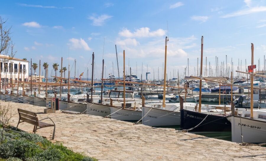Cap de Formentor: Market, Beach, and Alcudia Tour - Comfort, languages, and the guide you’ll actually rely on