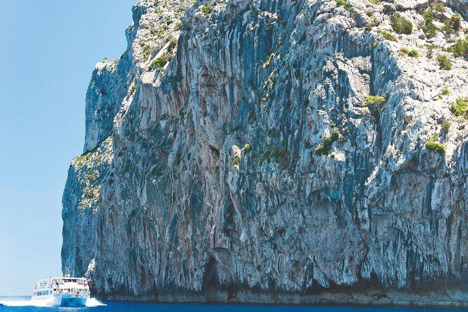 Cape Formentor Boat Trip in Mallorca - Getting on board: Port d’Alcúdia timing and what you’re actually paying for