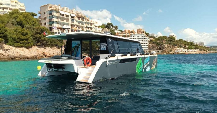 CATAMARAN ECO EXPERIENCE at Palma Bay - Should you book the Catamaran Eco Experience at Palma Bay?