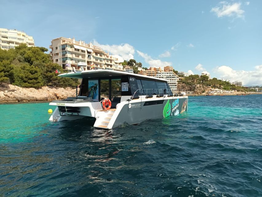 CATAMARAN ECO EXPERIENCE at Palma Bay - Practical tips so the day stays relaxing