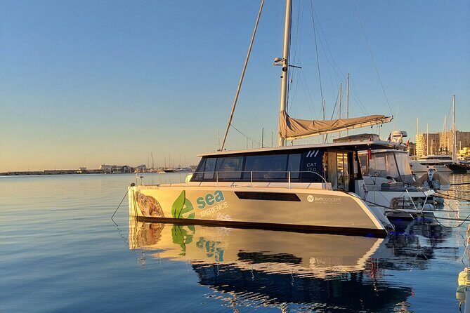 Catamaran Mallorca Eco Experience - Key highlights before you go
