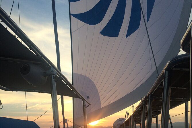 Catamaran sailing at sunset with tapas Palma de Mallorca - Finding the meeting point and getting on board without stress