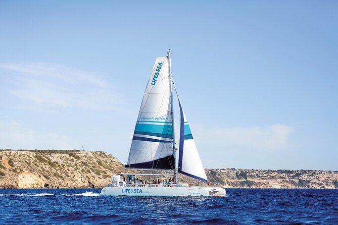 Catamaran with BBQ in the Bay of Palma - Key Things To Know Before You Go