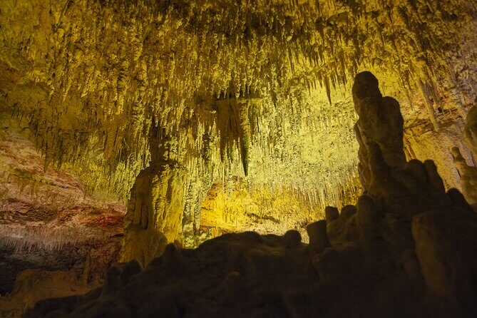 Caves Drach Boat Trip from Alcudia with Return Bus and Tickets - Cuevas del Drach Time: When “Two Hours Plus” Matters