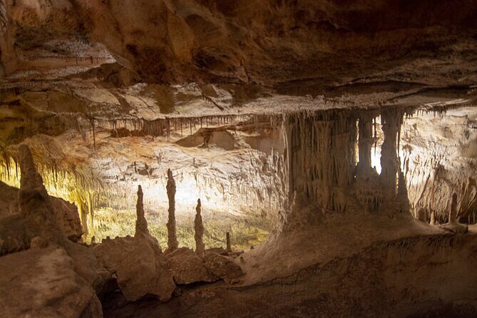 Caves Drach Boat Trip from Alcudia with Return Bus and Tickets - Price and Value: What You’re Really Paying For