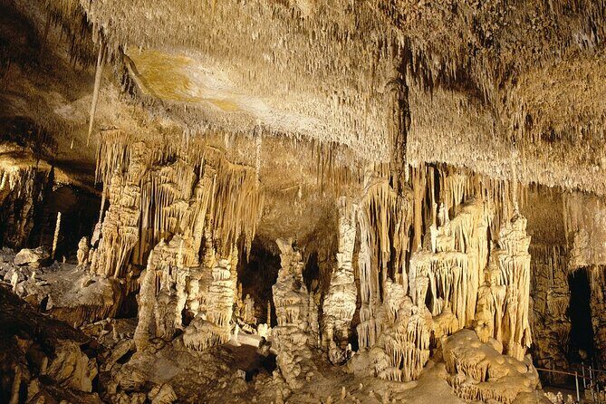 Caves Drach Tour & Return Transfer from Cala Dor-Calas Mallorca - Price and Value: What You’re Paying For
