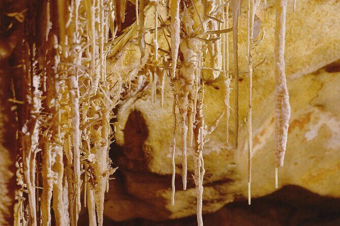 Caves Drach Tour & Return Transfer from Cala Dor-Calas Mallorca - Your Break Time: What You Can Do After the Cave Route