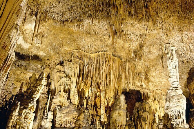 Caves Drach Tour & Return Transfer from Cala Dor-Calas Mallorca - Group Size, Comfort, and How the Timing Feels