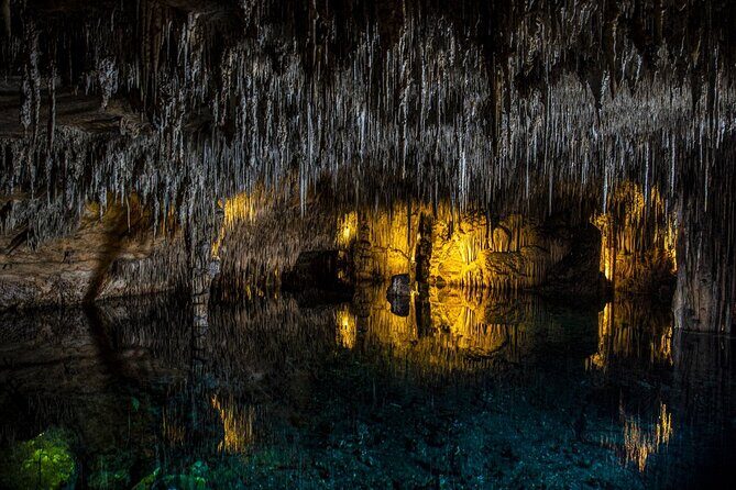 Caves Drach Tour & Return Transfer from Cala Dor-Calas Mallorca - Getting From Cala d’Or to the Caves Without the Headache