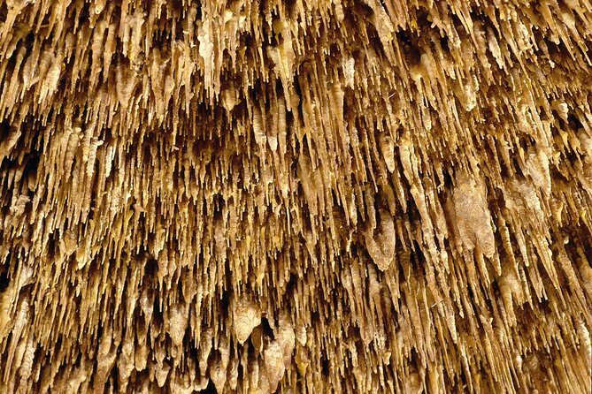 Caves of Drach Half-Day Tour with Boat Trip and Music Concert - Timing Reality: Fixed Slots, Tight Transitions, and When Stress Creeps In