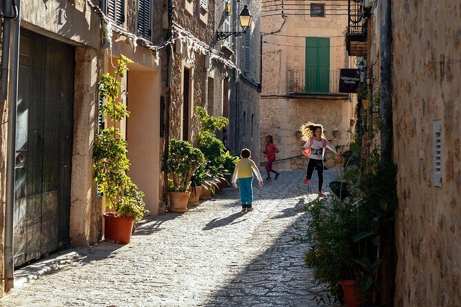 City Discovery: Valdemossa Private Day Trip - Price and value for $56: what’s covered, what you’ll still pay