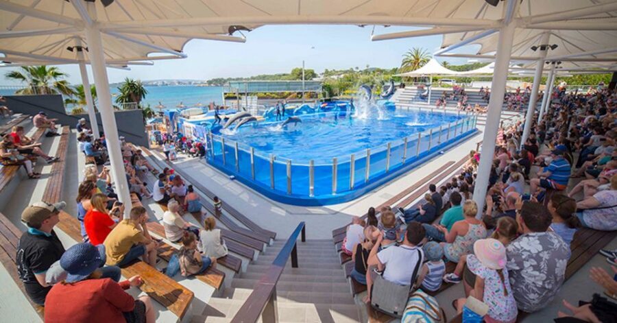 Costa d'en Blanes: Entry Ticket for Marineland Mallorca - Getting There, Entry Points, and the Timing That Matters