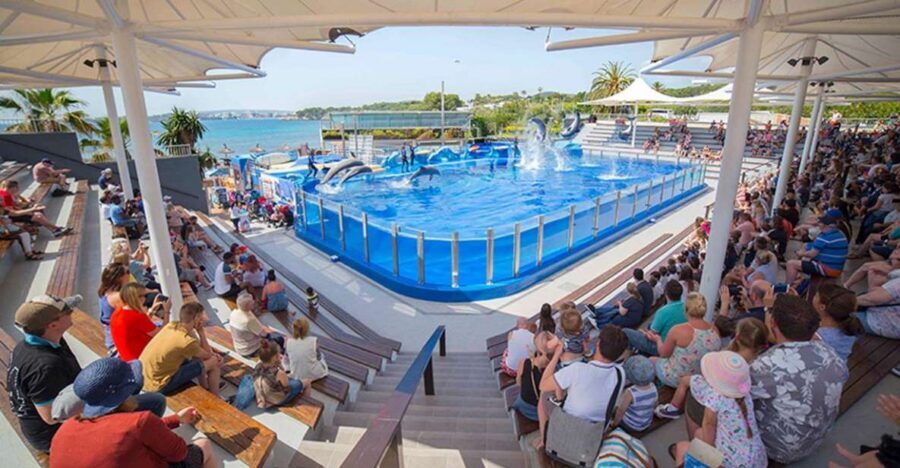 Costa d'en Blanes: Entry Ticket for Marineland Mallorca - Dolphin Shows: The Big Performance Built for Repeat Watching
