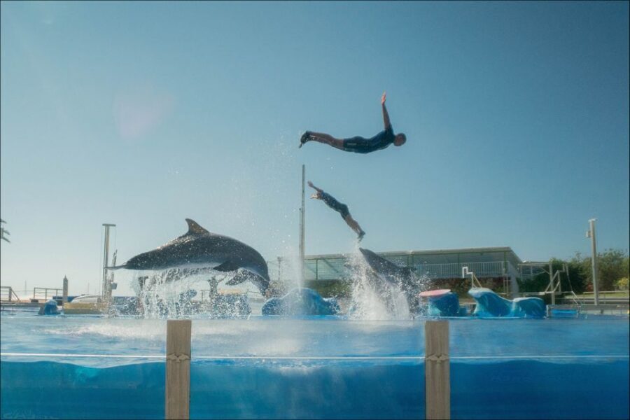 Costa d'en Blanes: Entry Ticket for Marineland Mallorca - A Small Park With Smart Pacing: How to Plan Your Day