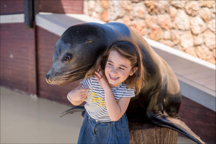 Costa d'en Blanes: Entry Ticket for Marineland Mallorca - Refurbished Playground and Family Flow