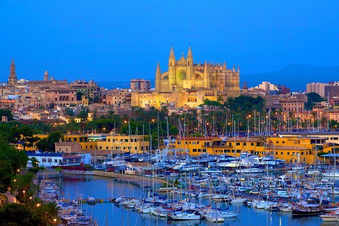 Discover the major cultural attractions of Palma De Mallorca on a Private Tour - Castell de Bellver: a Gothic circle above Palma
