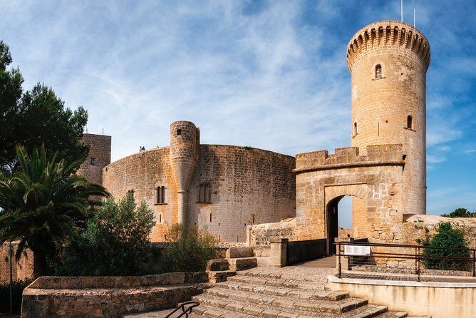 Discover the major cultural attractions of Palma De Mallorca on a Private Tour - Passeig des Born: mapping Palma’s city center on foot and by car