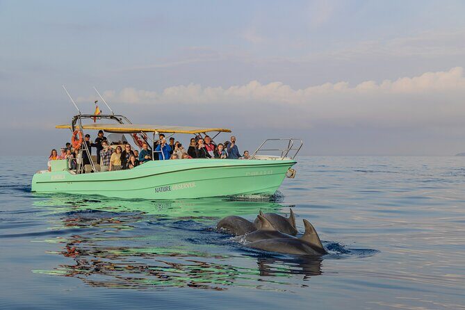 Dolphin watching by boat - Getting to the Boat: Meet at Cl Moll Comercial del, Then Off to Cap de Formentor