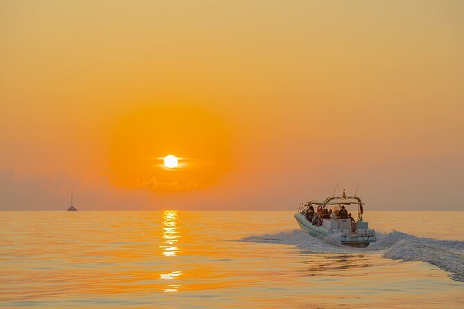 Dolphin watching by boat - Price and Value: Is $84.69 Worth It?