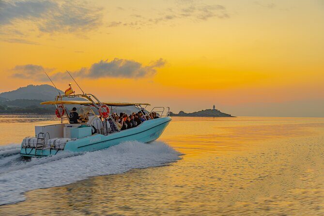 Dolphin watching by boat - My Take: Should You Book This Dolphin Watching Tour?