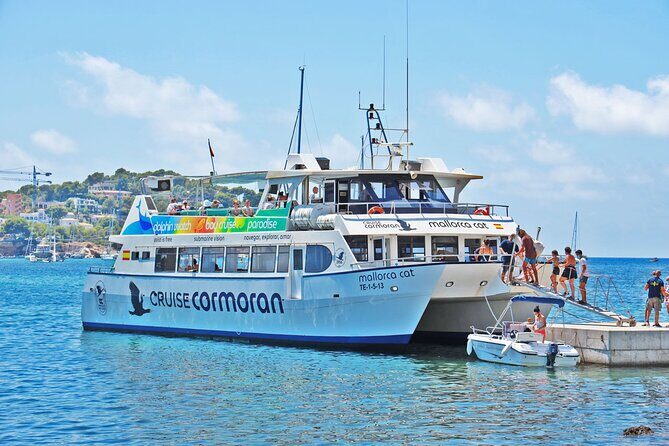 Dolphin Watching in Mallorca (Paguera) - Getting started at Bar Torà in Peguera (and why 15 minutes matters)