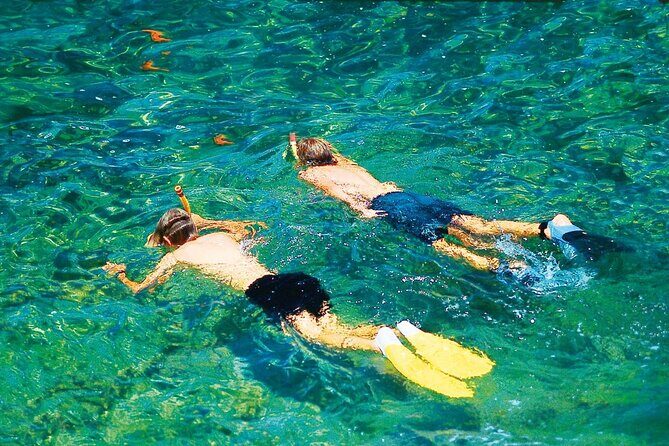 Dolphin Watching in Mallorca (Paguera) - Snorkeling gear and the €20 mask deposit