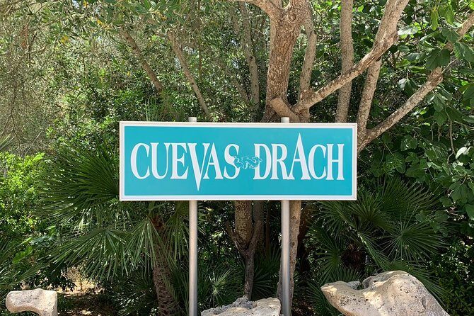 Drach Caves and Pearl Shop Mallorca Half Day Tour - Time Management Reality: Efficient Stops, Limited Food Moments