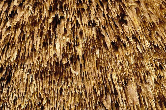 Drach Caves and Pearl Shop Mallorca Half Day Tour - Value and Price: Why $66.16 Can Make Sense Here