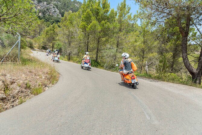 Easy Rider Mallorca Scooter Tour - Weather rules: what to expect if conditions turn