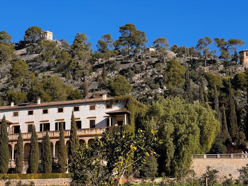 Embrace the enchantment of Mallorca's almond blossom season - Almond Blossom Season: why this timing matters