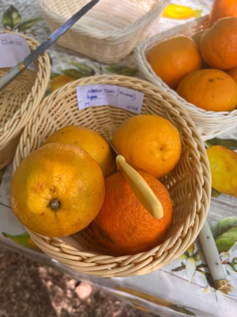 Embrace the enchantment of Mallorca's almond blossom season - Orange Valley: self-guided tasting and a local snack