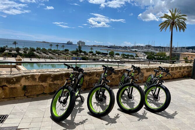 Exclusive Fat Tire E-Bike Tour in Palma - Parc de la Mar and the ride toward Ca’n Pere Antoni