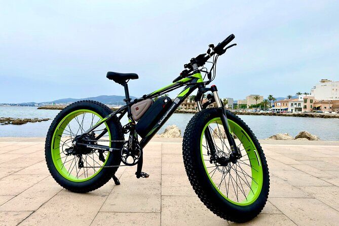 Exclusive Fat Tire E-Bike Tour in Palma - Stop-by-stop: Plaça Cort, Passeig del Born, and the city’s center rhythm