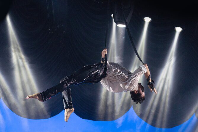 EXHIBIT - Acrobatics, Dance & Art - Practical Tips: Seats, Pre-Show Pace, and Exiting Son Amar