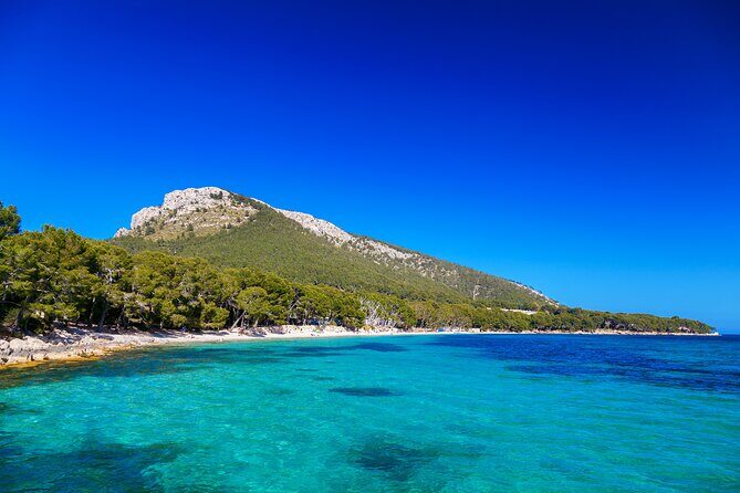 Formentor with boat trip + local market - Formentor Beach Time: Swim, Walk, and Watch the Water