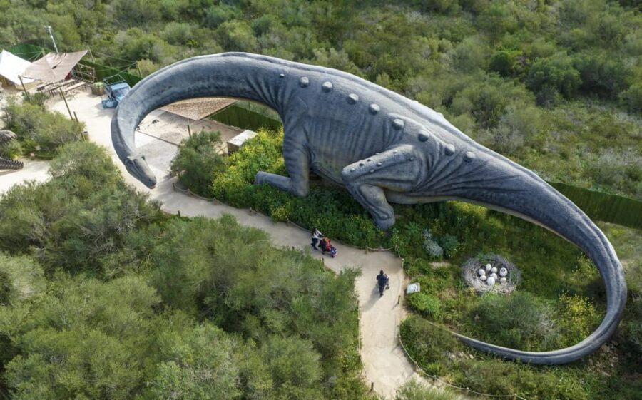 From Alcúdia: Dinosaurland and Hams' Caves Half-Day Trip - Key points at a glance