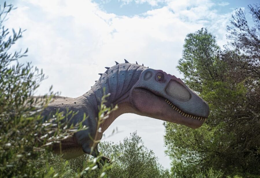 From Alcúdia: Dinosaurland and Hams' Caves Half-Day Trip - Should you book this half-day from Alcúdia?