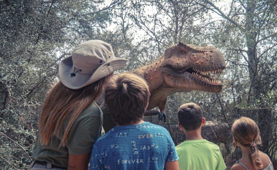 From Alcúdia: Dinosaurland and Hams' Caves Half-Day Trip - Price and value: does $68 make sense?