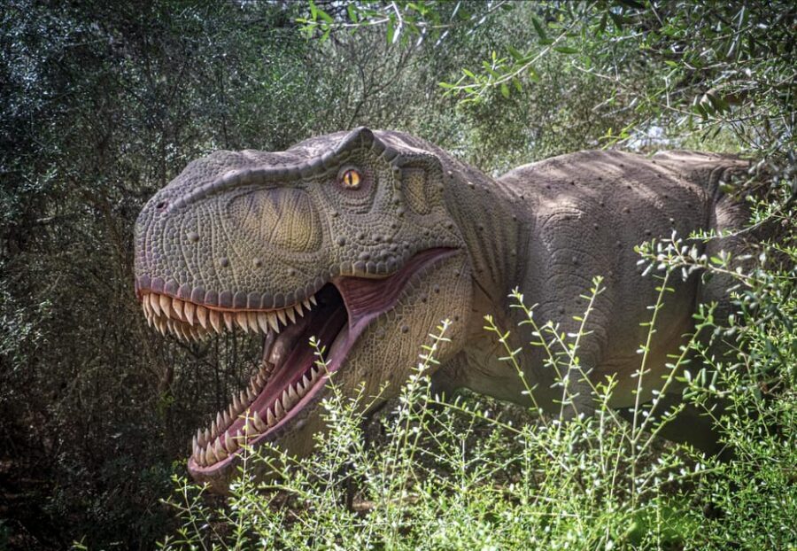 From Alcúdia: Dinosaurland and Hams' Caves Half-Day Trip - Dinosaurland: what you’ll actually see in 2 hours