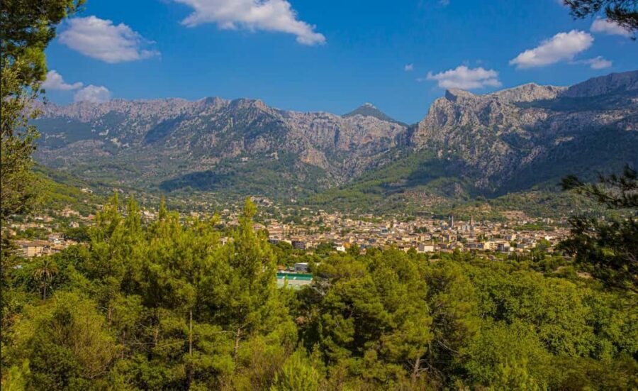 From Alcúdia: Soller Train and Tram Half Day Tour - Arriving in Sòller: how to spend your short free time well