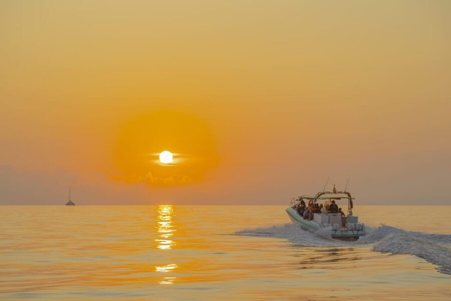 From Alcudia: Sunrise Dolphin Watching Boat Tour - The crew’s role: friendly guidance, multilingual talks, and named guides you may meet